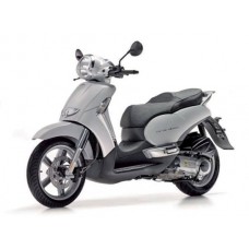 SCARABEO 300 LIGHT E3 2009-2010